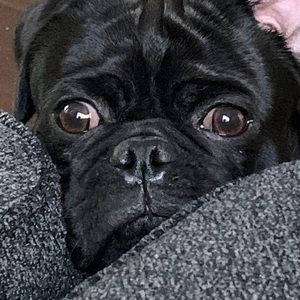 Meet your Posher, Clarisa